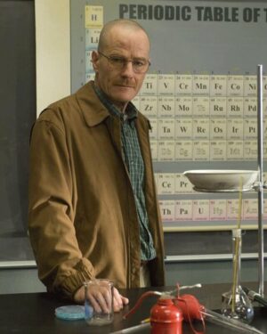 Walter White Breaking Bad Brown Bomber Jacket