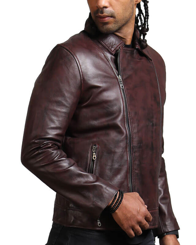 Dark Brown Collared Biker Jacket
