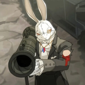 Devil May Cry White Rabbit Cosplay Coat