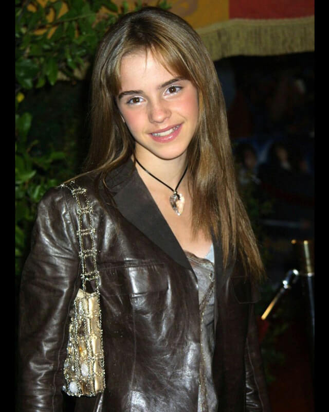 Emma Watson Brown Leather Jacket