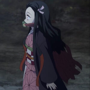 Demon Slayer Nezuko Kamado Coat