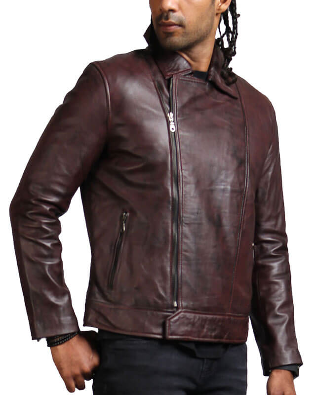 Dark Brown Collared Biker Jacket
