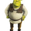 Shrek Brown Vest