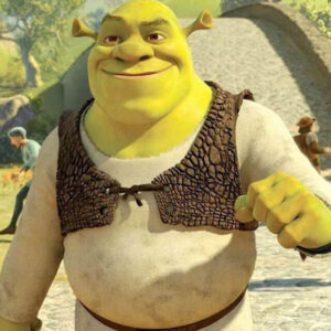 Shrek Brown Vest